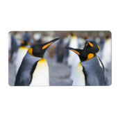 King Penguins Etiket (Voorkant)