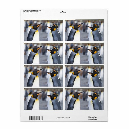 King Penguins Etiket (Full Sheet)