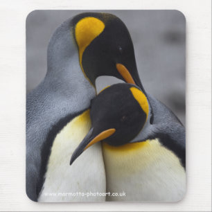 King Penguins in Love Mousemat Muismat