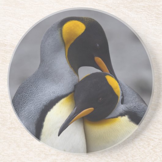 King Penguins in Love Onderzetter (Voorkant)