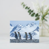King Penguins in South Georgia Briefkaart (Staand voorkant)