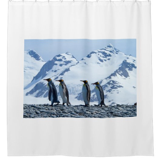 King Penguins in South Georgia Douchegordijn (Voorkant)