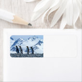 King Penguins in South Georgia Etiket (Insitu)