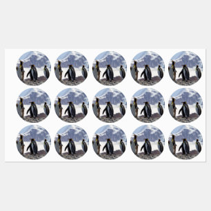 King Penguins in South Georgia Labels