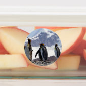 King Penguins in South Georgia Labels (Aangebracht)