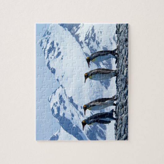 King Penguins in South Georgia Legpuzzel (Verticaal)