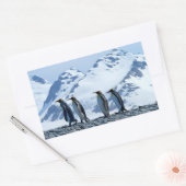 King Penguins in South Georgia Rechthoekige Sticker (Envelop)
