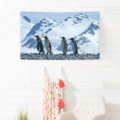 King Penguins in South Georgia Spandoek (Insitu)