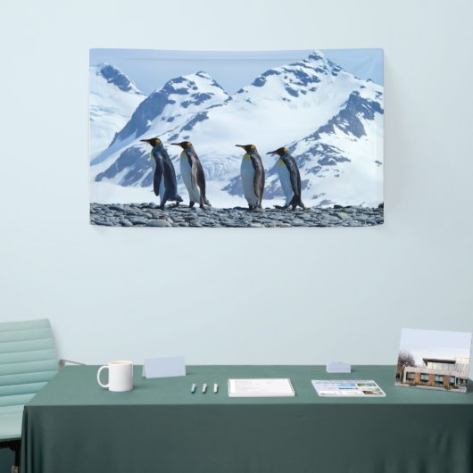 King Penguins in South Georgia Spandoek (Beurs)