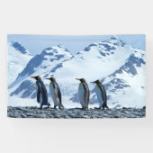 King Penguins in South Georgia Spandoek (Horizontaal)