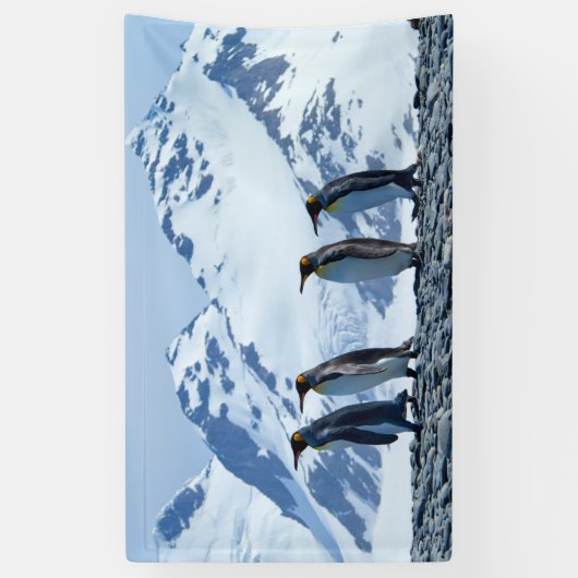 King Penguins in South Georgia Spandoek (Verticaal)