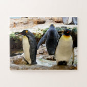 King Penguins Legpuzzel (Horizontaal)
