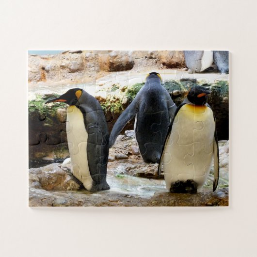 King Penguins Legpuzzel (Horizontaal)