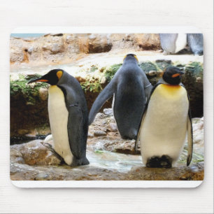 King Penguins Muismat