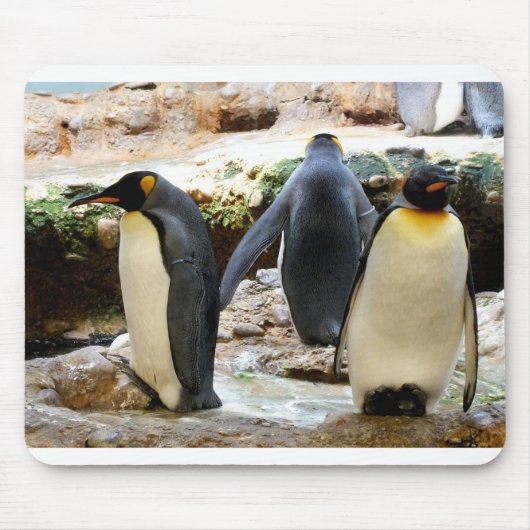 King Penguins Muismat (Voorkant)
