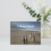 King Penguins on Falkland Islands Briefkaart (Staand voorkant)