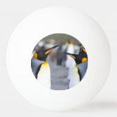 King Penguins Pingpongbal (Voorkant)