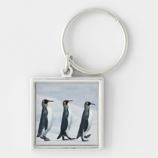 King Penguins Sleutelhanger (Voorkant)
