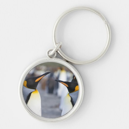 King Penguins Sleutelhanger (Voorkant)