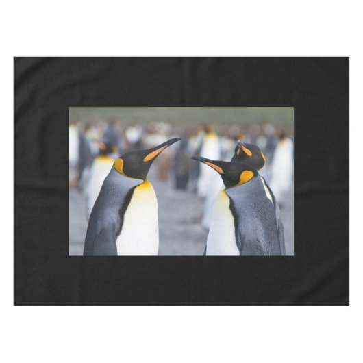 King Penguins Tafelkleed (Voorkant (Horizontaal))