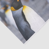 King Penguins Tissuepapier (Detail)