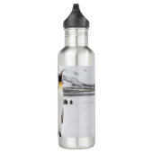 King Penguins Waterfles (Rechts)