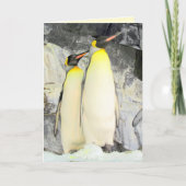 King Penguins Wenskaart Kaart (Voorkant)