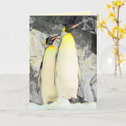 King Penguins Wenskaart Kaart (Gele Bloem)