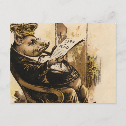 King Pig leest zijn krant Briefkaart (Voorkant)