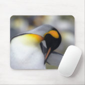 King pinguin muismat (Met muis)