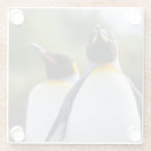 King pinguins glazen onderzetter (Achterkant)