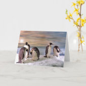 King pinguins kaart (Gele Bloem)