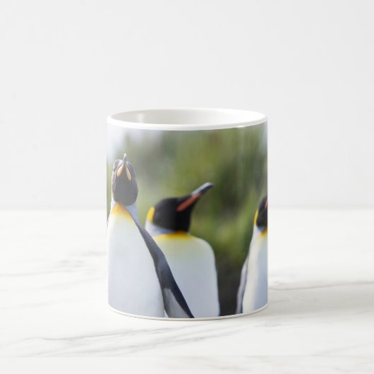 King pinguins koffiemok (Center)
