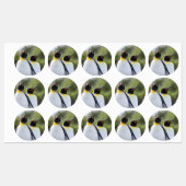 King pinguins labels (Vel)
