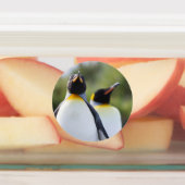 King pinguins labels (Aangebracht)