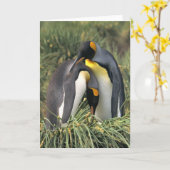 King pinguins Lovers Kaart (Gele Bloem)