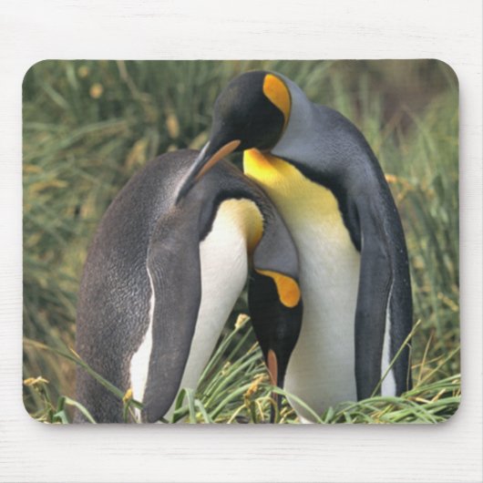 King pinguins Lovers Muismat (Voorkant)