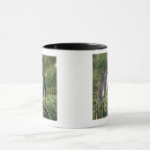 King pinguins nuzzling mok (Midden)