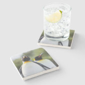 King pinguins stenen onderzetter (Zijkant)