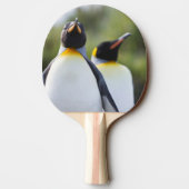 King pinguins tafeltennisbatje (Achterkant)