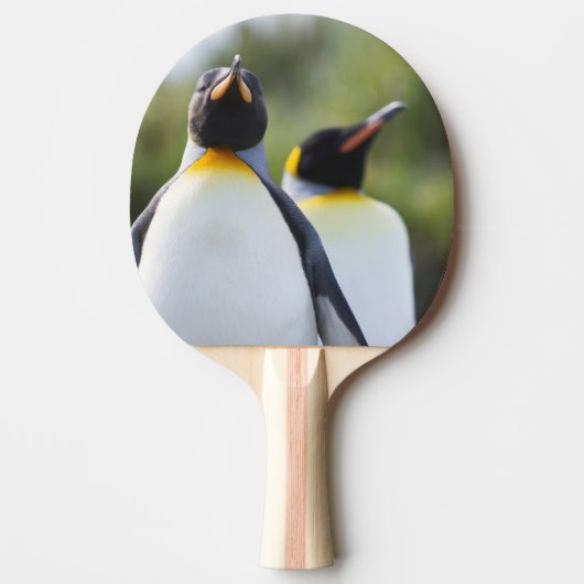 King pinguins tafeltennisbatje (Voorkant)