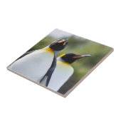 King pinguins tegeltje (Zijkant)