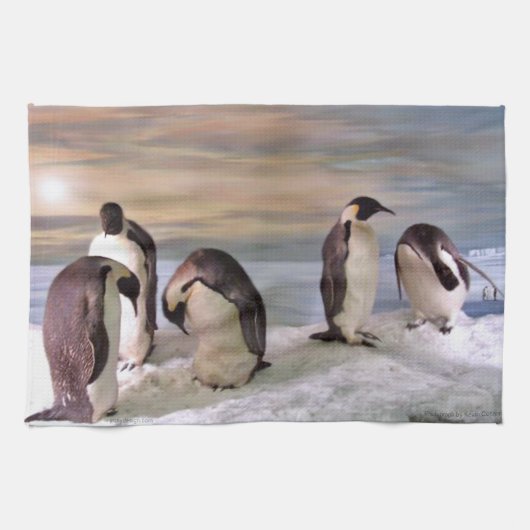 King pinguins theedoek (Horizontaal)