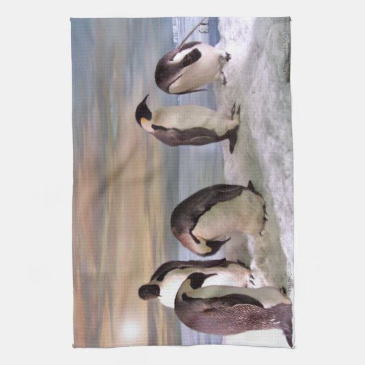 King pinguins theedoek (Verticaal)