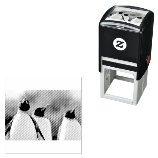 King pinguins zelfinktende stempel (In situ)