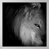 King Pride Poster (Voorkant)