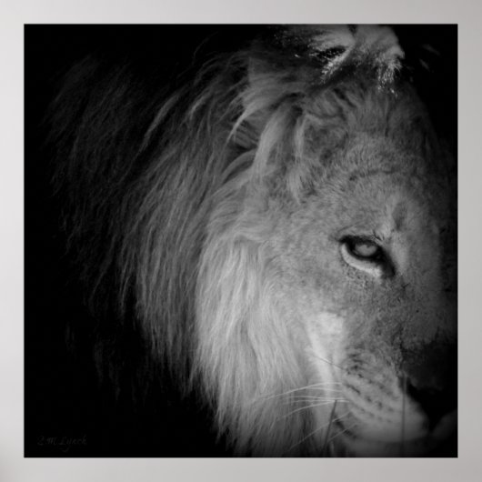 King Pride Poster (Voorkant)