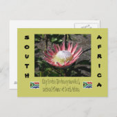 King Protea Briefkaart (Voorkant / Achterkant)