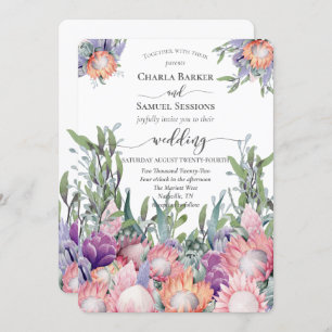 King Protea Bright Colored Exotic Flowers Program Programmakaart