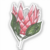King Protea Custom Cut sticker I (Voorkant)